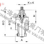 D81X衛(wèi)生級快裝蝶閥外形結構圖