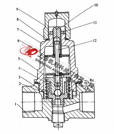 CS18H脈沖式疏水閥外形結(jié)構(gòu)圖