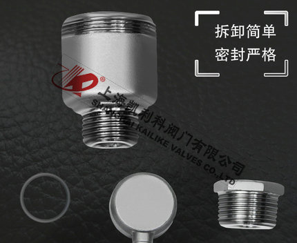 AVAX不銹鋼自動(dòng)排氣閥可拆卸設(shè)計(jì)細(xì)節(jié)說明