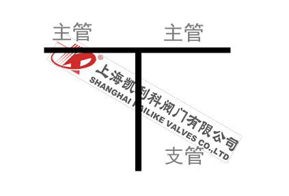 焊接T型過(guò)濾器管路支管圖